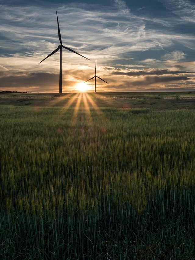 safeguarding-environment.!image-alt